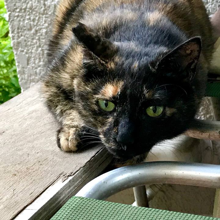 0147738e 8721 40f3 9db6 5ff1aa21e264 1530093462433