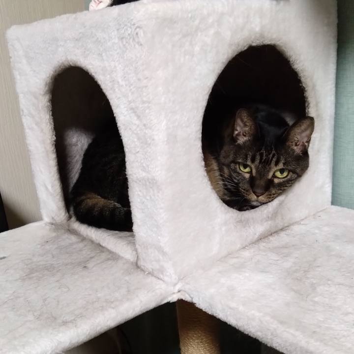 0147821f bae0 4f77 a297 62ae2588ad66 1765182614274