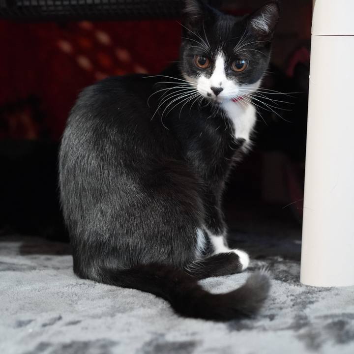 0147d39a 6293 4890 9bd3 8ef7f41ee07d 1578490687042