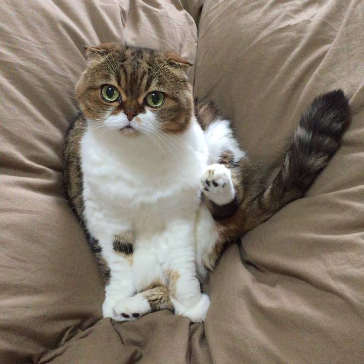 0147db7d f7fb 42bb bede 7b93c346104b 1507945282080