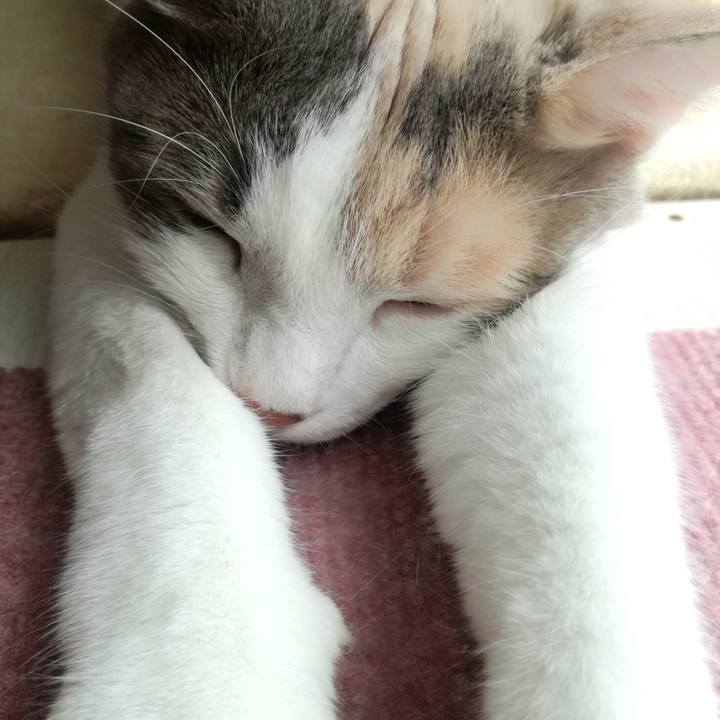 0147dfaf 2078 4e9e 89b5 af77255b9367 1530082251315