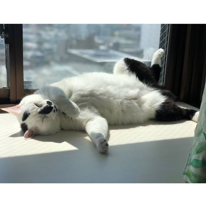 0147eaa1 cabd 40c1 be85 0b6a70cdc613 1774069509717