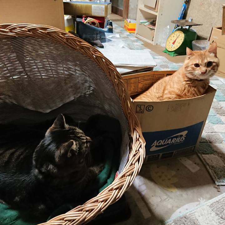 0147ed4a 5145 418b 94fb 79251576bcae 1640690201280