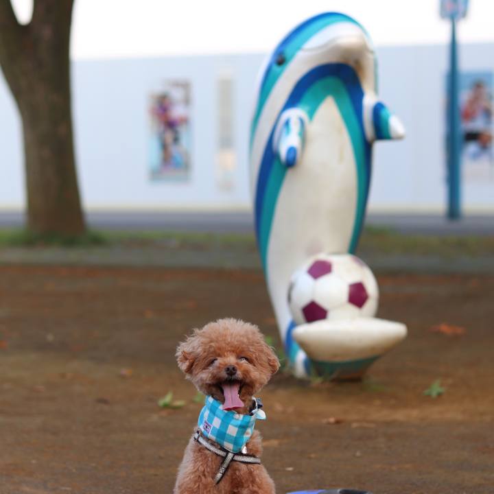 01480d37 cece 4711 b909 c9bf1cd92205 1533218091420