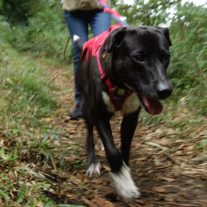 01482819 1a98 427c be1b 781221d9c09c 1603413948255