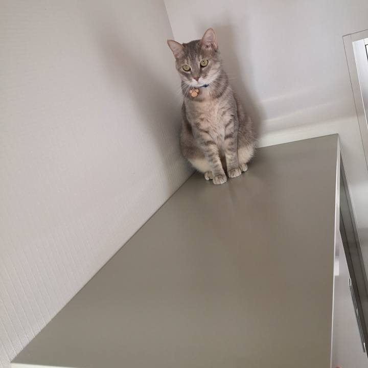 01483545 5255 48cc bd64 0edc763740d0 1589444167575