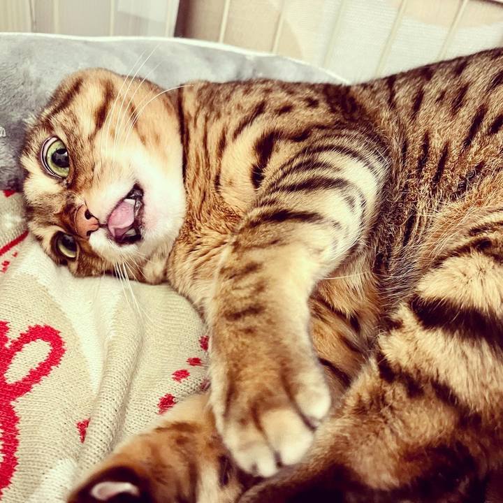 0148368f 9168 47d4 b540 206061801133 1647567512699