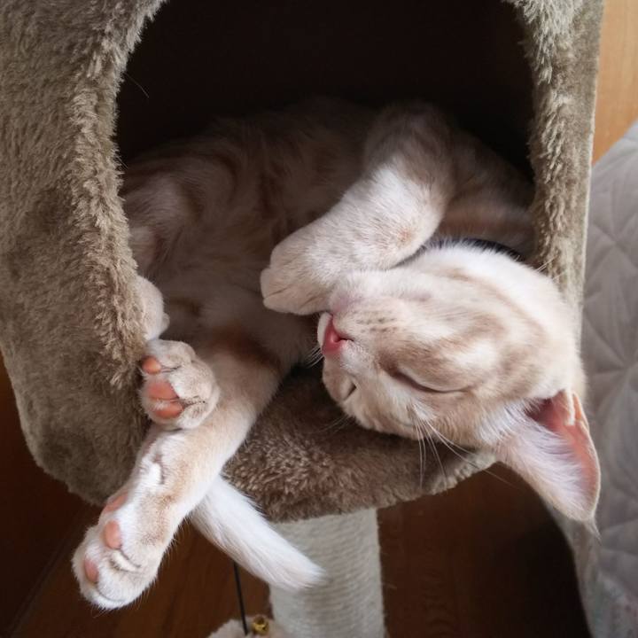 0148417b df4b 4870 a17c 81e4544d5ce0 1546312876578