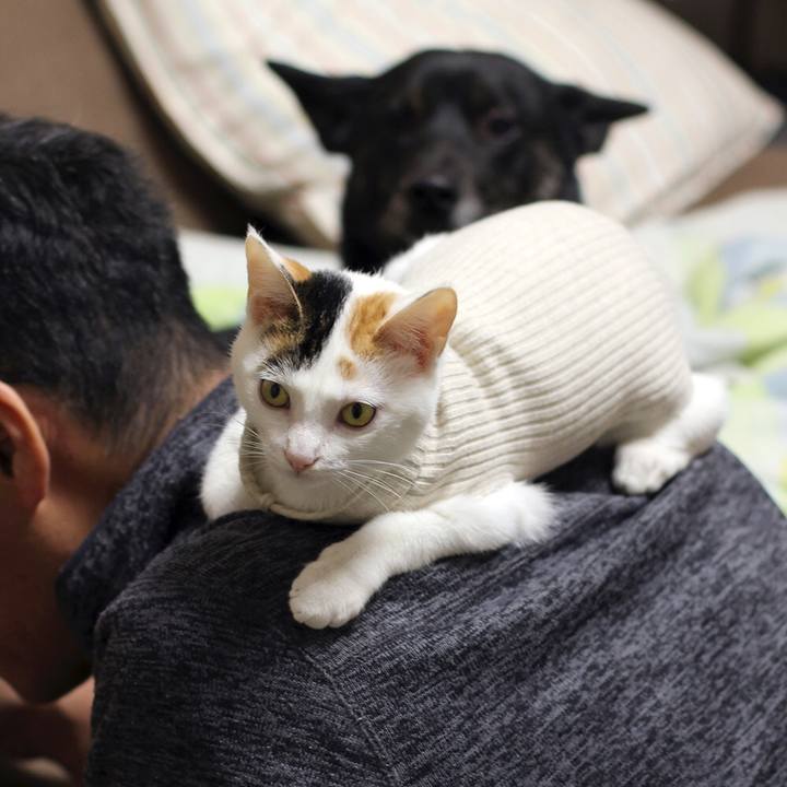 01486015 caef 4ab0 b9fe 127e3fcb18da 1553399080601