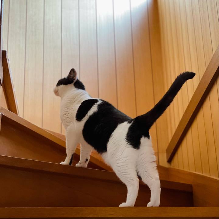 0148896b 0b0a 408d 83b6 83d7918a99c9 1656904101956