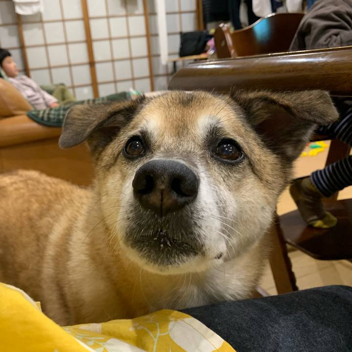 01488cbe 350f 461c bca5 87ca26dc72b5 1637572457312