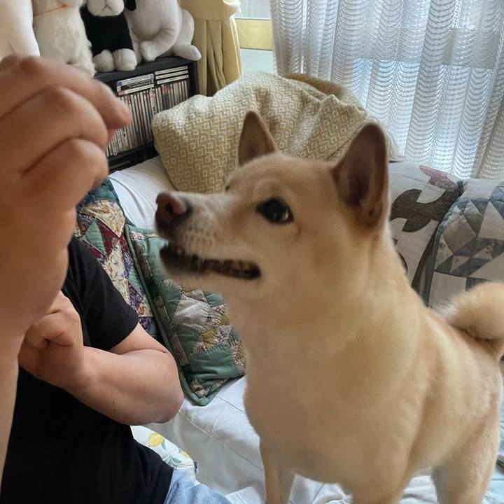 01489676 f468 4b6b 8e40 a73bfd47e392 1718798409153