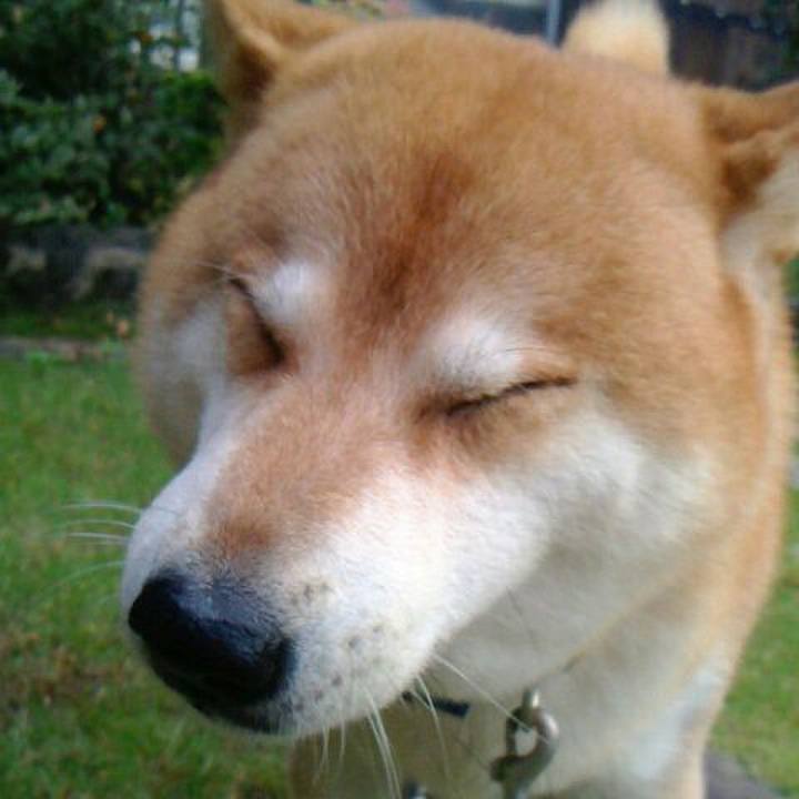 01489dcd 6886 42c4 a77d 4e3268a31185 1572619124916