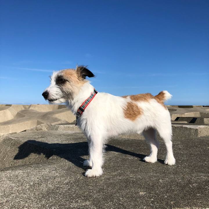 0148ac44 2de3 4983 983b b19dfd88f9f9 1601333834185