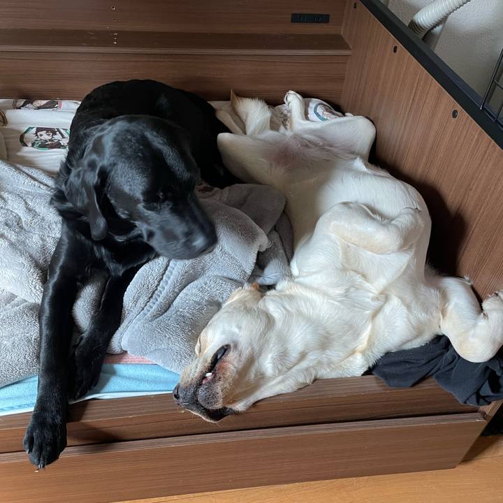 0148fd02 9b17 421e b68e 2fcee30612d9 1650420260618