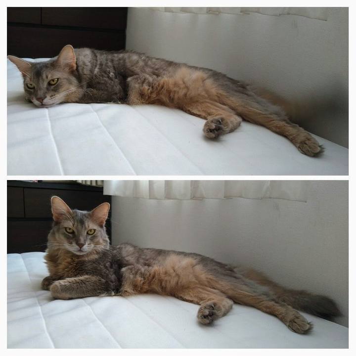 0149344f 7ca3 42bd 8ca0 0fe112a18da9 1598076728145