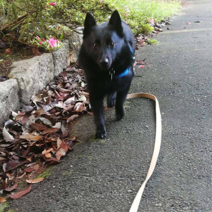 01494fc6 713a 40c5 905e 94c5b7279434 1621890501152