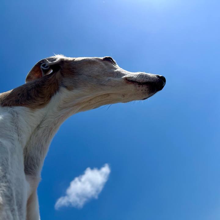 01495230 6384 4f3a a051 6f903f703a88 1776586786280