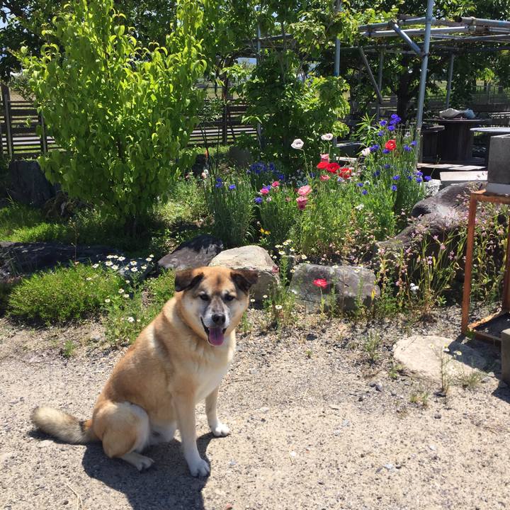 01499e9f 7c95 4e39 b4f7 6d4a9a052031 1526953797022