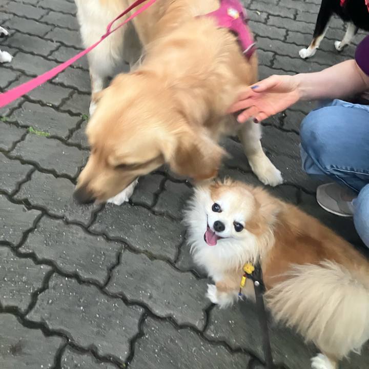 0149b12c 0c89 4411 9f68 b02d51e6e4d6 1752245282149