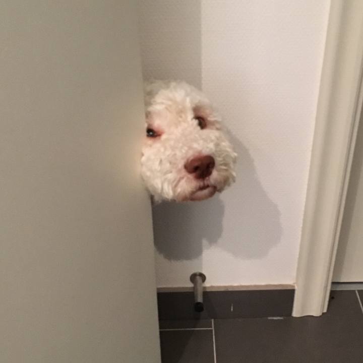 0149b7a9 3ce9 40d9 8c04 78ec7f74992f 1568224257825