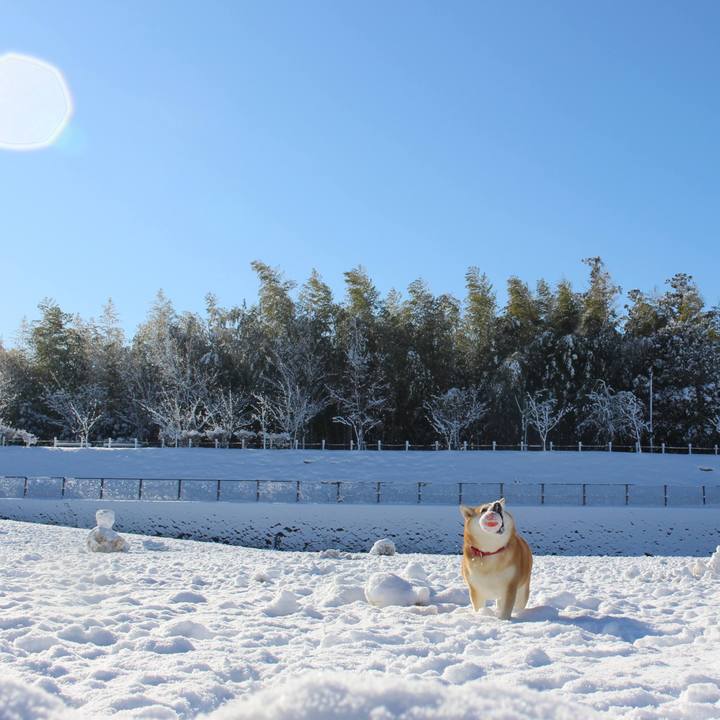 0149db7f a527 453b aeb3 ce539a574019 1641895719647