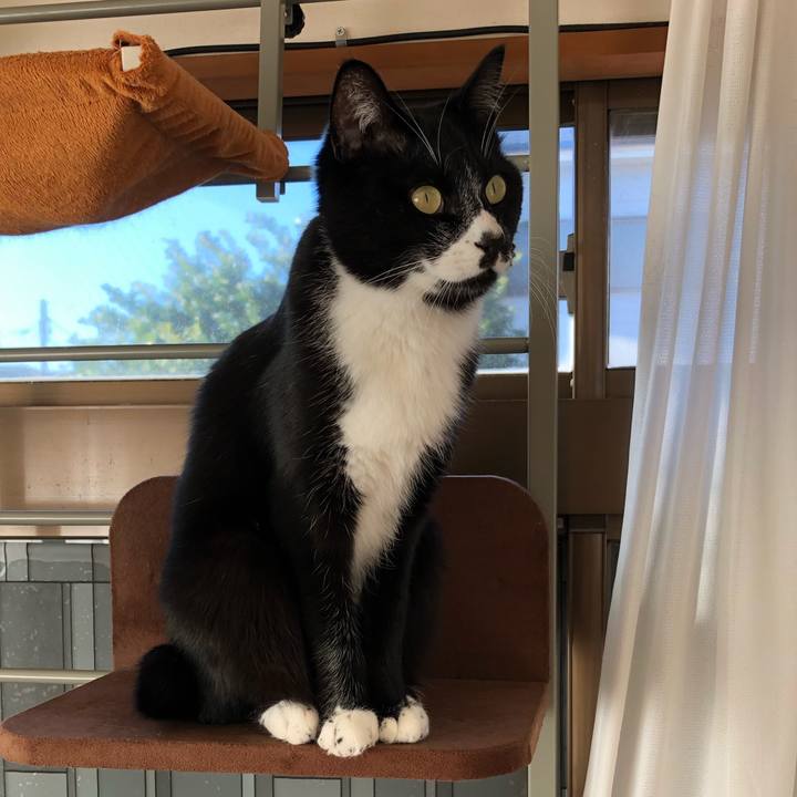 0149fb49 f881 4bed 8f2e a58803a284b1 1576469569403