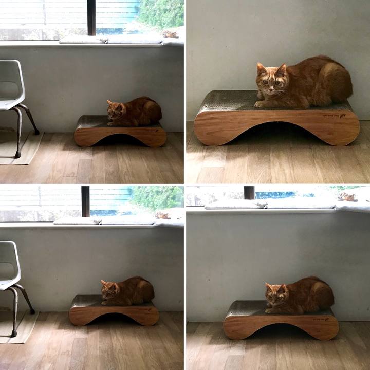 014a1c4a 15d1 4b05 9506 9c2340b54eca 1529636094931