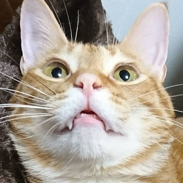 014ab19a 8b2e 4a98 9375 c2693e7b4bd1 1513385219970