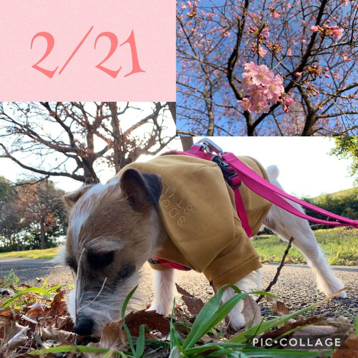 014acac3 b1c3 4b6d 8291 2822293ad2f8 1582273893303