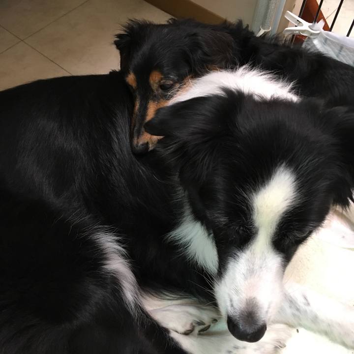 014ad68e b214 4a73 9c9d 508caa35c8b9 1547462625968