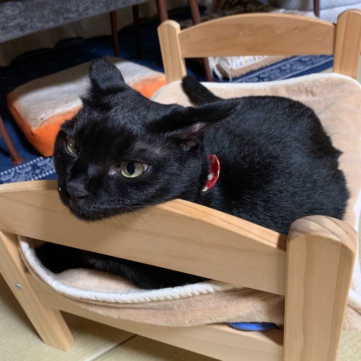 014ae5b3 a56b 4cba bdfe 74da2d91f4a4 1568109358736