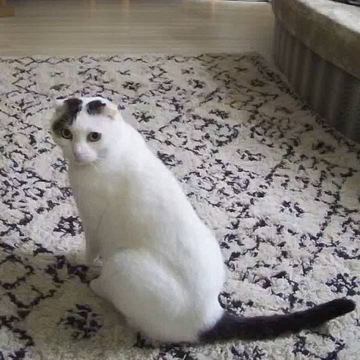 014b2678 93bf 4534 9aa8 67c15f3ad5e9 1564831511164