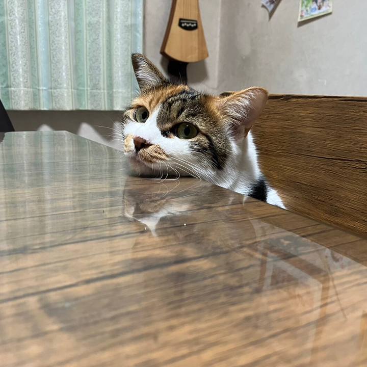 014b2e9f 402b 4c60 a36b 9048f1ad29d1 1699964474940