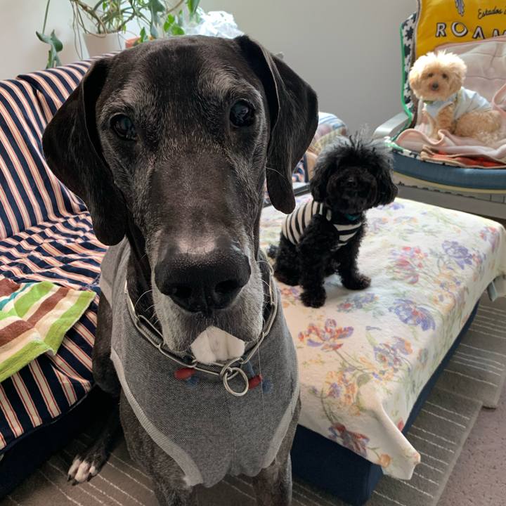 014b3a53 157c 4bc7 a9ae 66f4dd083439 1586212536749