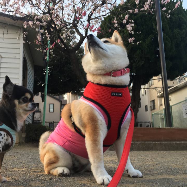 014b7da9 c35b 48e8 9df2 862d2d6afdb2 1584610198437