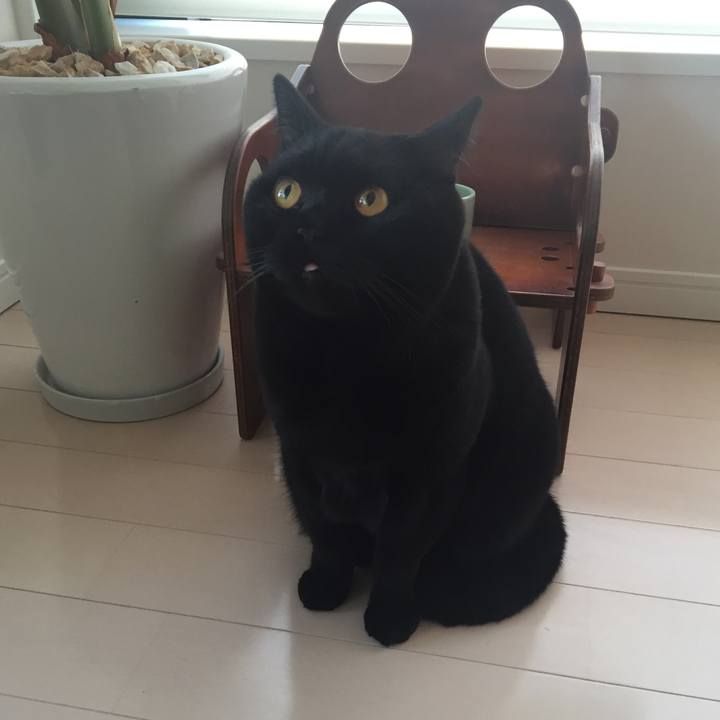 014b8c6b a78a 4347 a093 1b32c6dcbff9 1512945490638