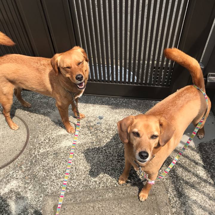 014bdb26 2f43 43f5 a48a fdbb1c34a271 1559701059117