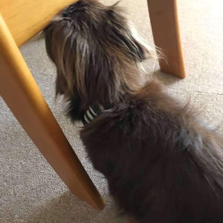 014c0721 b2d7 4082 b4c1 d00bc4a2faa6 1597804239774