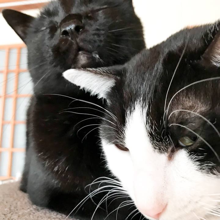 014c261c f271 4d09 9f2d 4b6c1a6b92ae 1521162999974