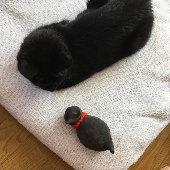 014c39d8 9355 45c3 b191 516577ecd137 1562458518784