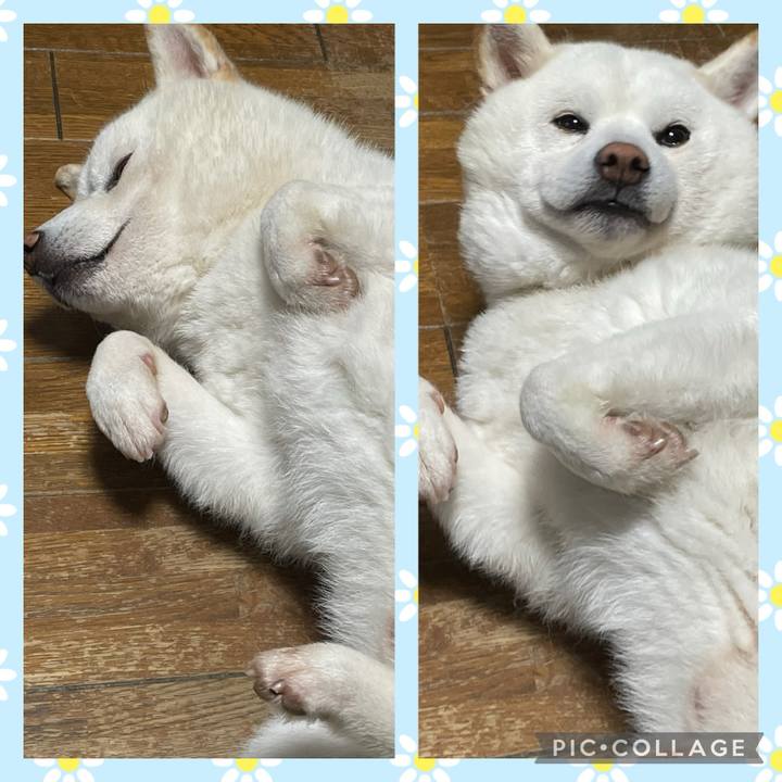 014c46c0 b072 4090 8c22 7a1fe988413d 1721884664338