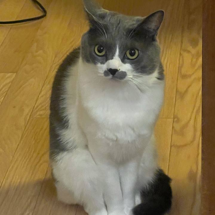 014c7694 7093 40d8 b219 60d3b91ad8fd 1636466071799