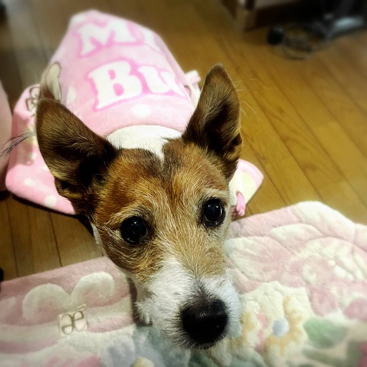 014c887f 6cb1 49f8 bba8 71e302efd2d4 1608073809086