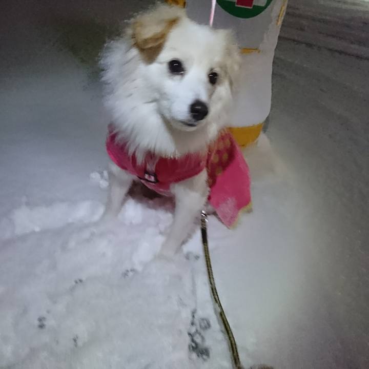 014c8d2d ac34 4fd0 8098 dd02bbfdaf20 1514319983191