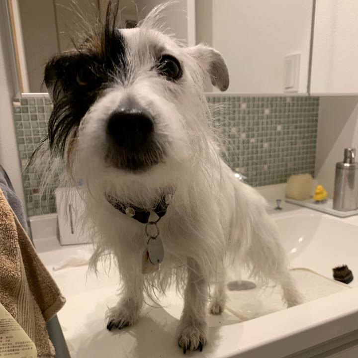 014ce3f1 b26d 4dd6 b442 96b602dadbcf 1673855786595