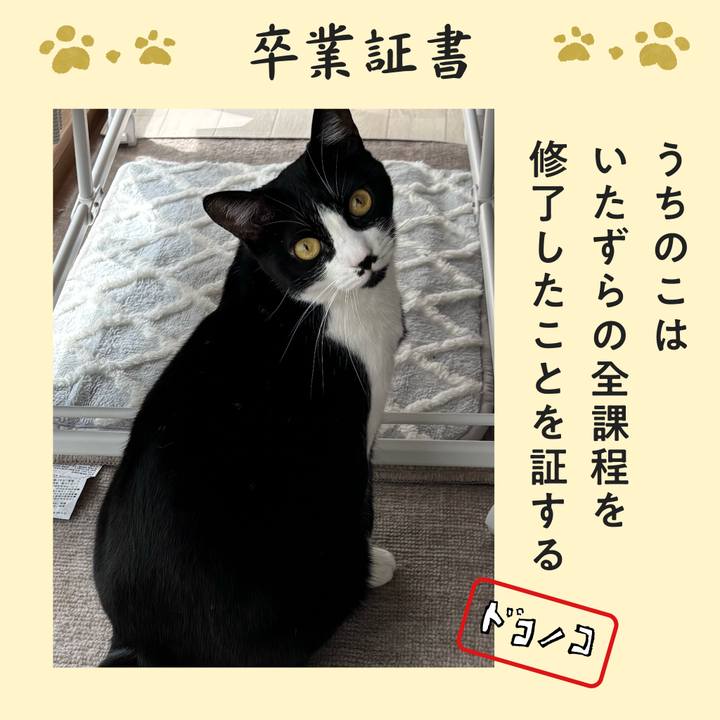 014d168b e30c 436d a54c 733f3f4568aa 1771986247906