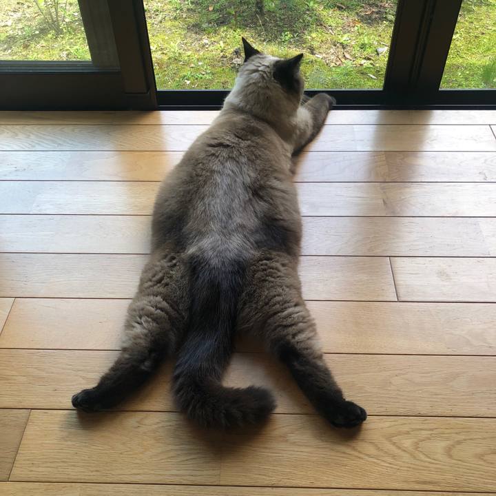 014d1782 bf14 44e0 b836 5e2c455c2f36 1622338134057