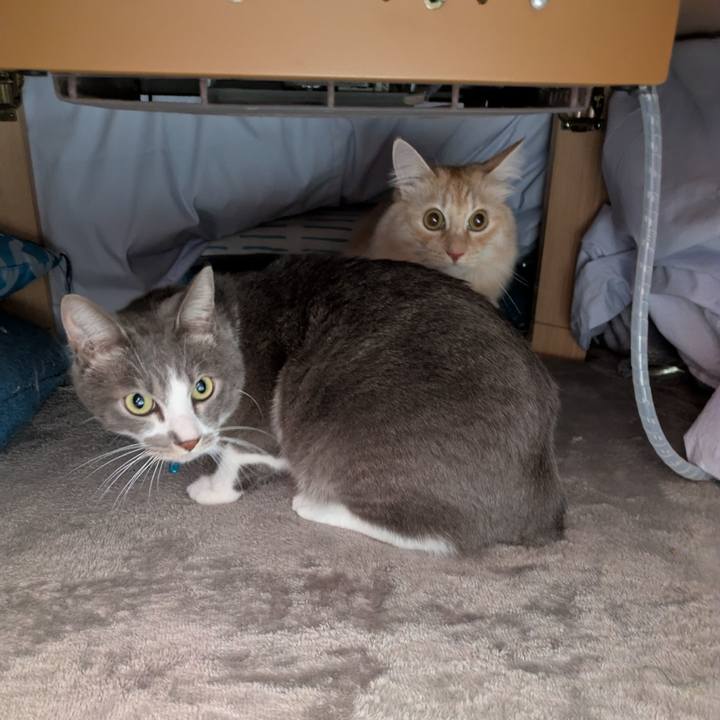 014d2998 0ada 496f 8e2f 45ad9bb1d6de 1734846826224