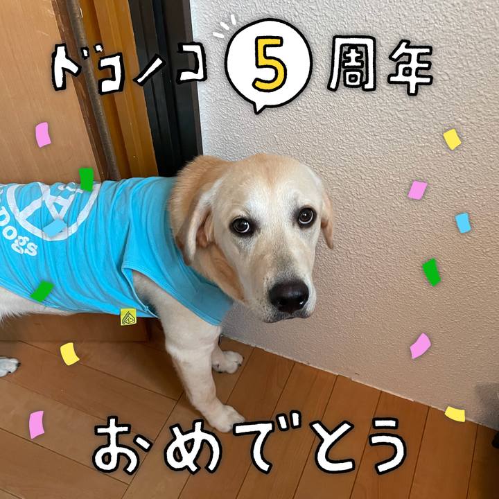 014d2db3 ee11 48d9 a769 884774623aa2 1622853609022